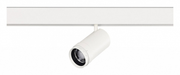 Светильник на штанге ST-Luce SKYLINE 48 ST357.536.20