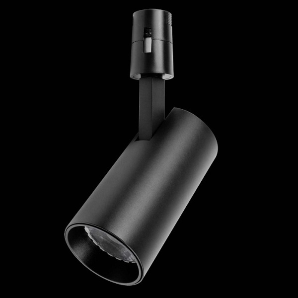 Светильник на штанге Lightstar Due Hermes 210247