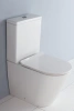 Чаша напольного безободкового унитаза BelBagno Flay-R BB007CPR