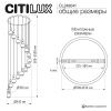 Подвесная люстра Citilux LASS CL249041