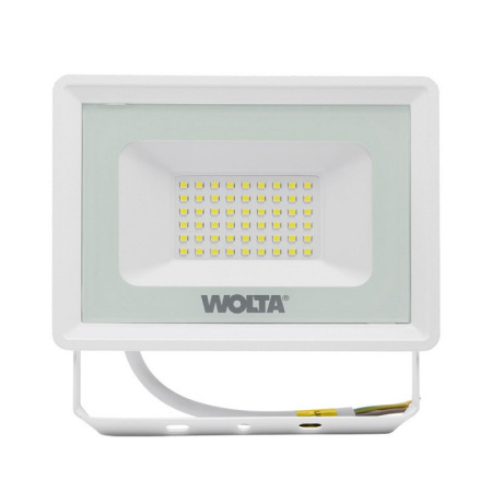Настенно-потолочный прожектор Wolta WFL-50W WFL-50W/06W