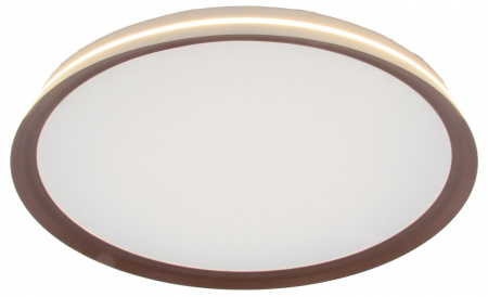 Накладной светильник Mizi`en Titan MZ31502-430