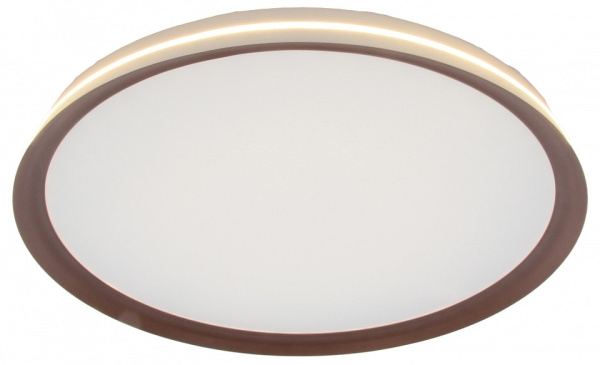 Накладной светильник Mizi`en Titan MZ31502-430