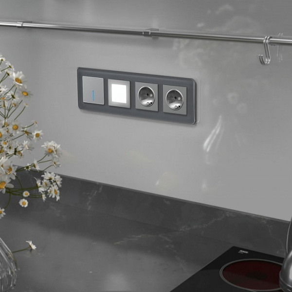 Рамка на 4 поста Werkel Elite (графит стекло) W0042440