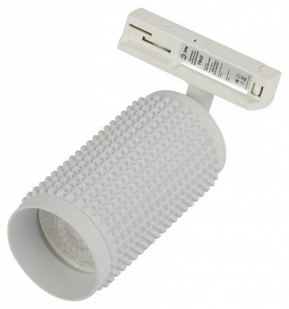 Светильник на штанге Эра TR40-GU10 WH