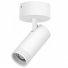 Спот Lightstar Canno Pro C4206SO