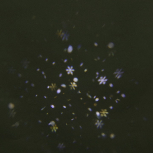 Настенный прожектор Sneha 00328-0.2-01