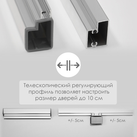 Душевая дверь WasserKRAFT Berkel 48P27 80х200 хром