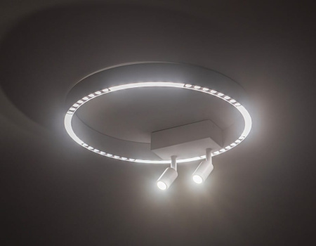 Накладной светильник Ambrella Light FL FL5808