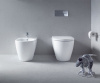 Биде напольное Duravit Starck 1 2289100000