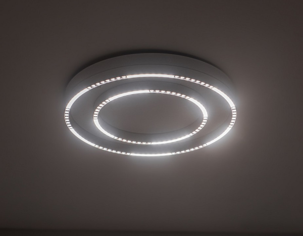 Накладной светильник Ambrella Light FL FL5821