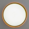 Накладной светильник Citilux ETALON CL750401R