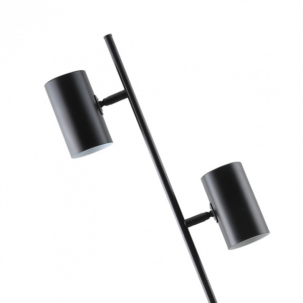 Торшер Moderli Ashes V11329-2F