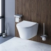 Подвесной унитаз Damixa Skyline DX35C1700SC с крышкой-сиденьем