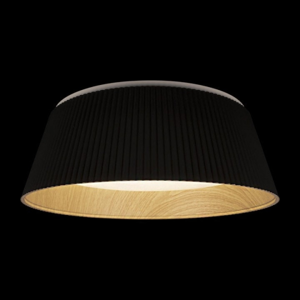 Накладной светильник Loft it Evans 10224 Black