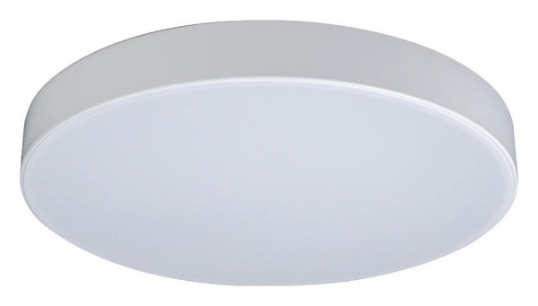 Накладной светильник Loft it Axel 1 10002/24 White