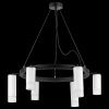 Подвесная люстра Lightstar Rullo LR0163638631