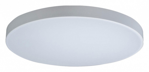 Накладной светильник Loft it Axel 1 10002/48 White