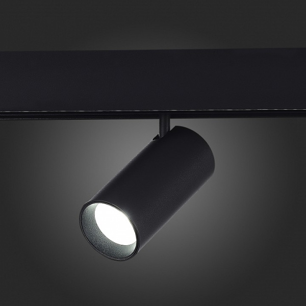 Светильник на штанге ST-Luce SKYLINE 48 ST375.406.12.1