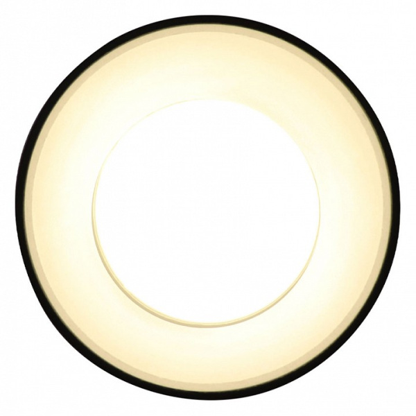 Накладной светильник Ambrella Light TN TN3412