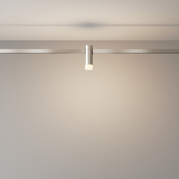Накладной светильник Maytoni Skim TR145-1-3W3K-W-PT