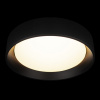 Накладной светильник Loft it Coin 10202 BB