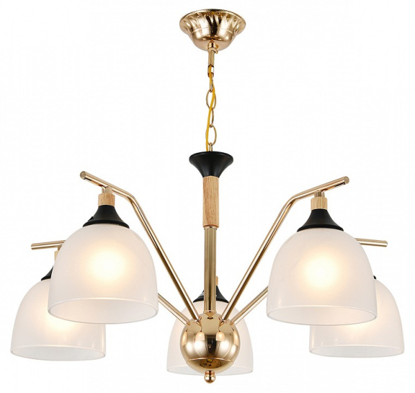 Подвесная люстра Escada Actinidia 2123/5P