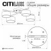 Потолочная люстра Citilux ESPACE CL243141