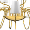 Подвесная люстра Lightstar Diafano 758212