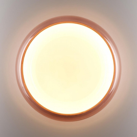 Накладной светильник Sonex PORTMAN 7778/ELN