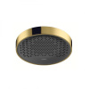 Верхний душ hansgrohe Rainfinity 250 1jet 26228990 золото