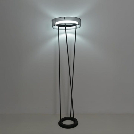 Торшер Lumion LEDIO 8370/30FL
