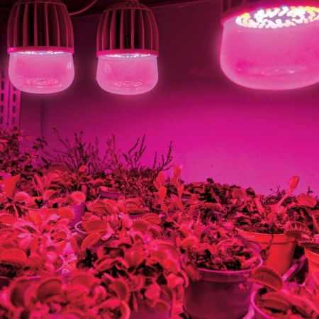 Лампа светодиодная Uniel LED-M80  20Вт K 11098