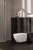 Клавиша смыва Villeroy&Boch ViConnect 922160RB черный глянцевый