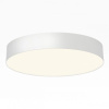 Накладной светильник Citilux BART CL755390