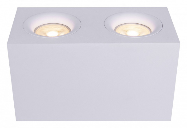 Накладной светильник Maytoni Technical Изящность C013CL-02W