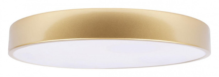 Накладной светильник Loft it Flims 10228/A