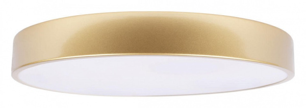 Накладной светильник Loft it Flims 10228/A