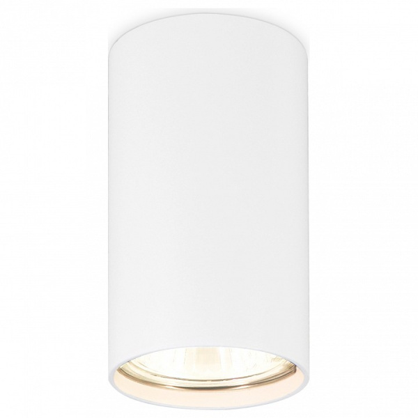 Накладной светильник Ambrella Light TN TN213108