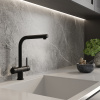 Смеситель для кухни WasserKRAFT A8967 черный матовый