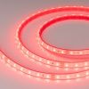 Лента светодиодная Arlight RT открытая 034182