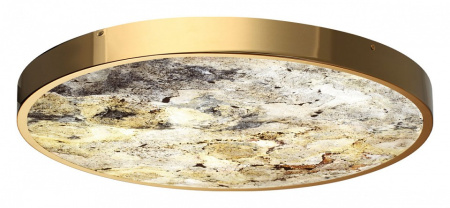 Накладной светильник Odeon Light Bergi 5079/50L