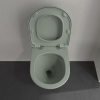 Подвесной унитаз Villeroy&Boch Antao 4674T0R8 утренний зеленый