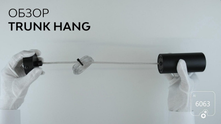 Подвесной светильник 6063 Trunk Hang 1130601