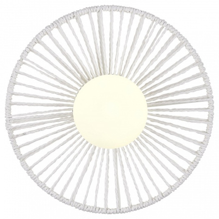 Накладной светильник EVOLUCE LOOM SLE6022-501-01