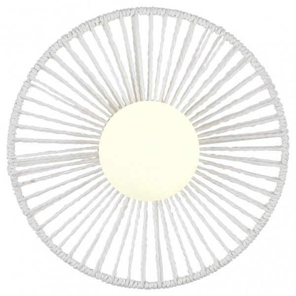 Накладной светильник EVOLUCE LOOM SLE6022-501-01