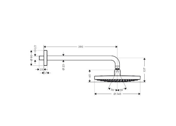 Верхний душ hansgrohe Raindance Select S 26466000