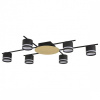 Потолочная люстра Lumion BENUA 8304/6C