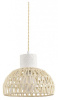 Подвесной светильник Lumion ECO 8368/1A