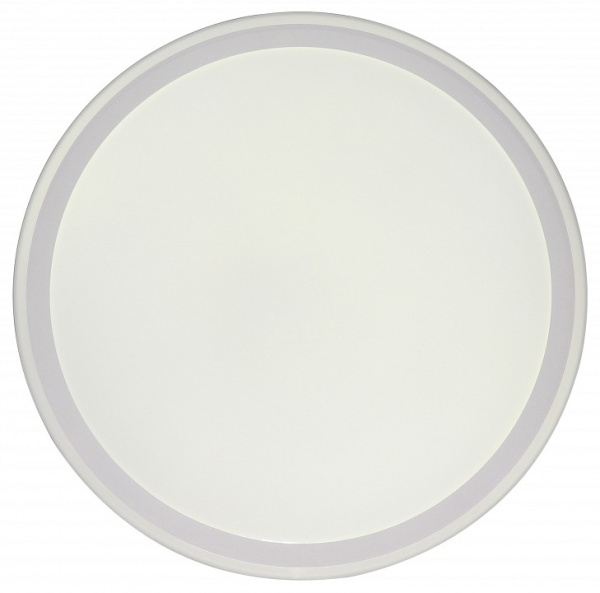 Накладной светильник Zortes Bella ZRS.1200.09